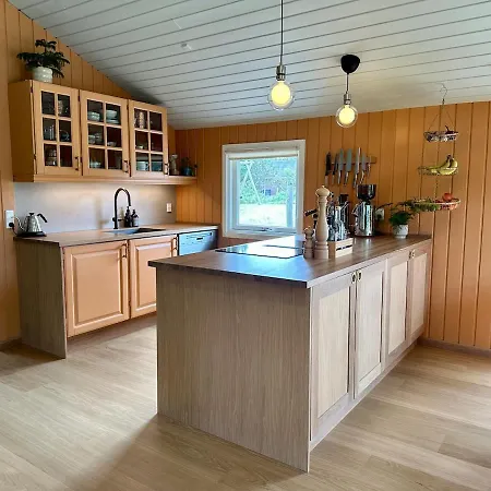 Modern With Wood-fired Hot Tub